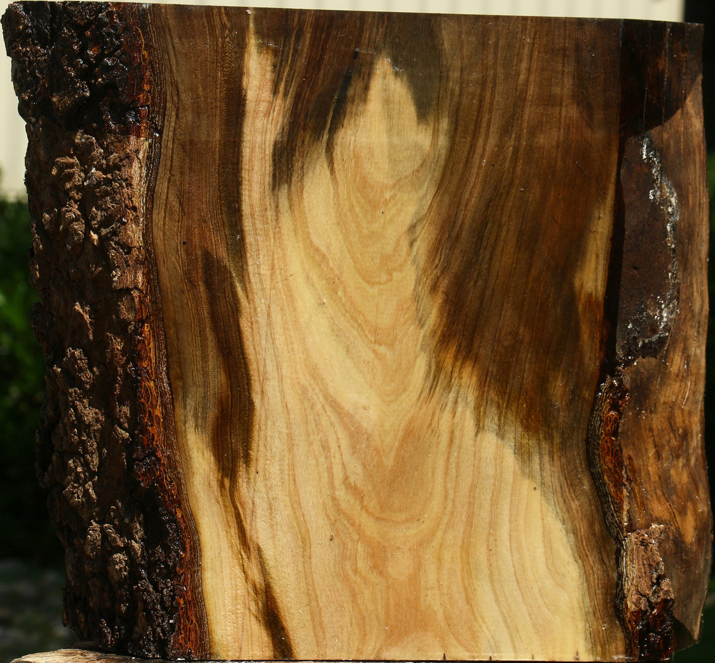 Figured Pistachio Live Edge Platter Blank