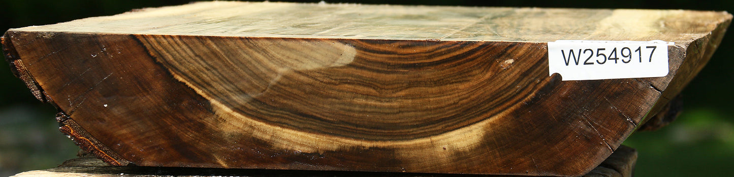 Figured Pistachio Live Edge Platter Blank