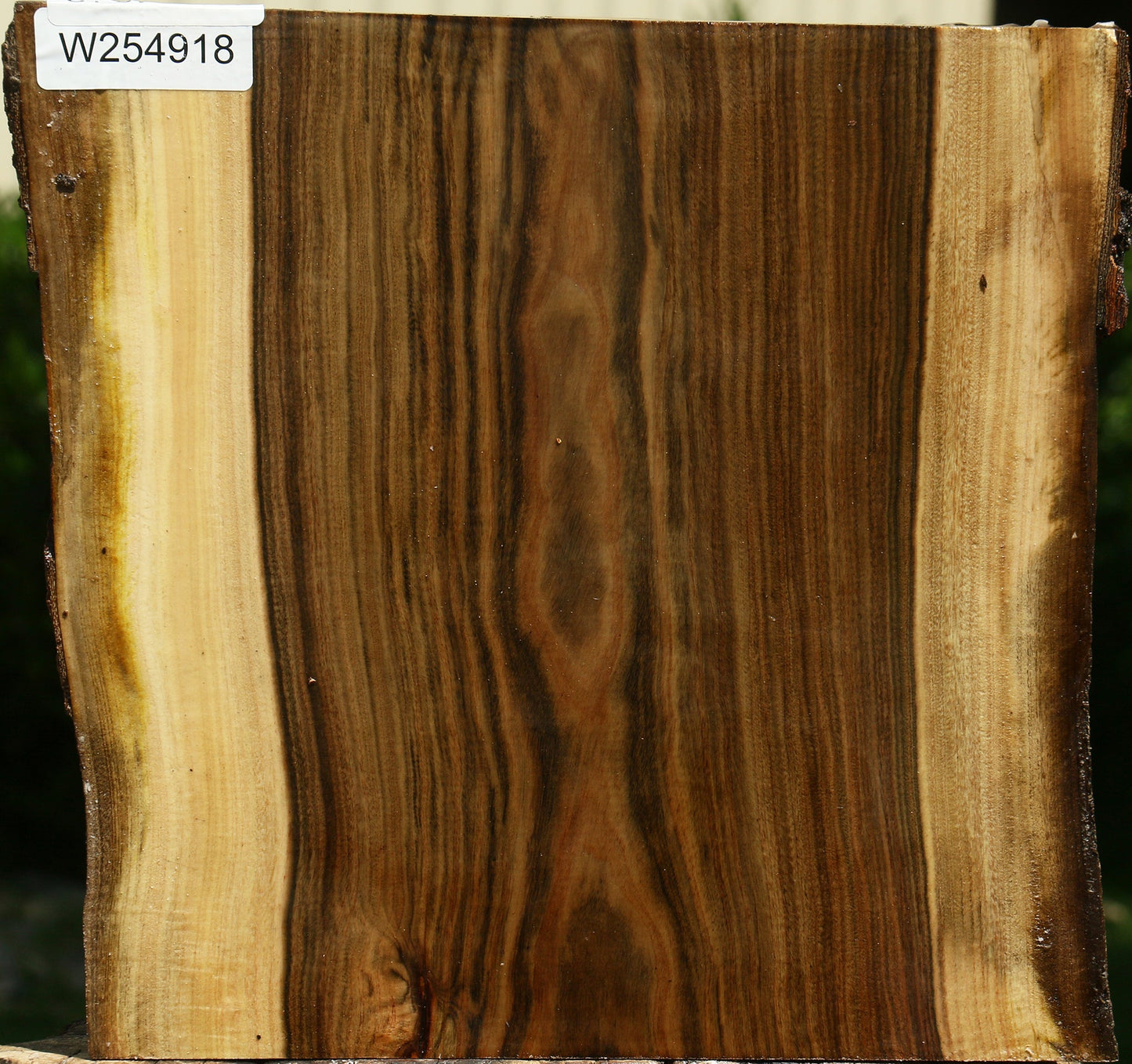 Pistachio Live Edge Bowl Blank
