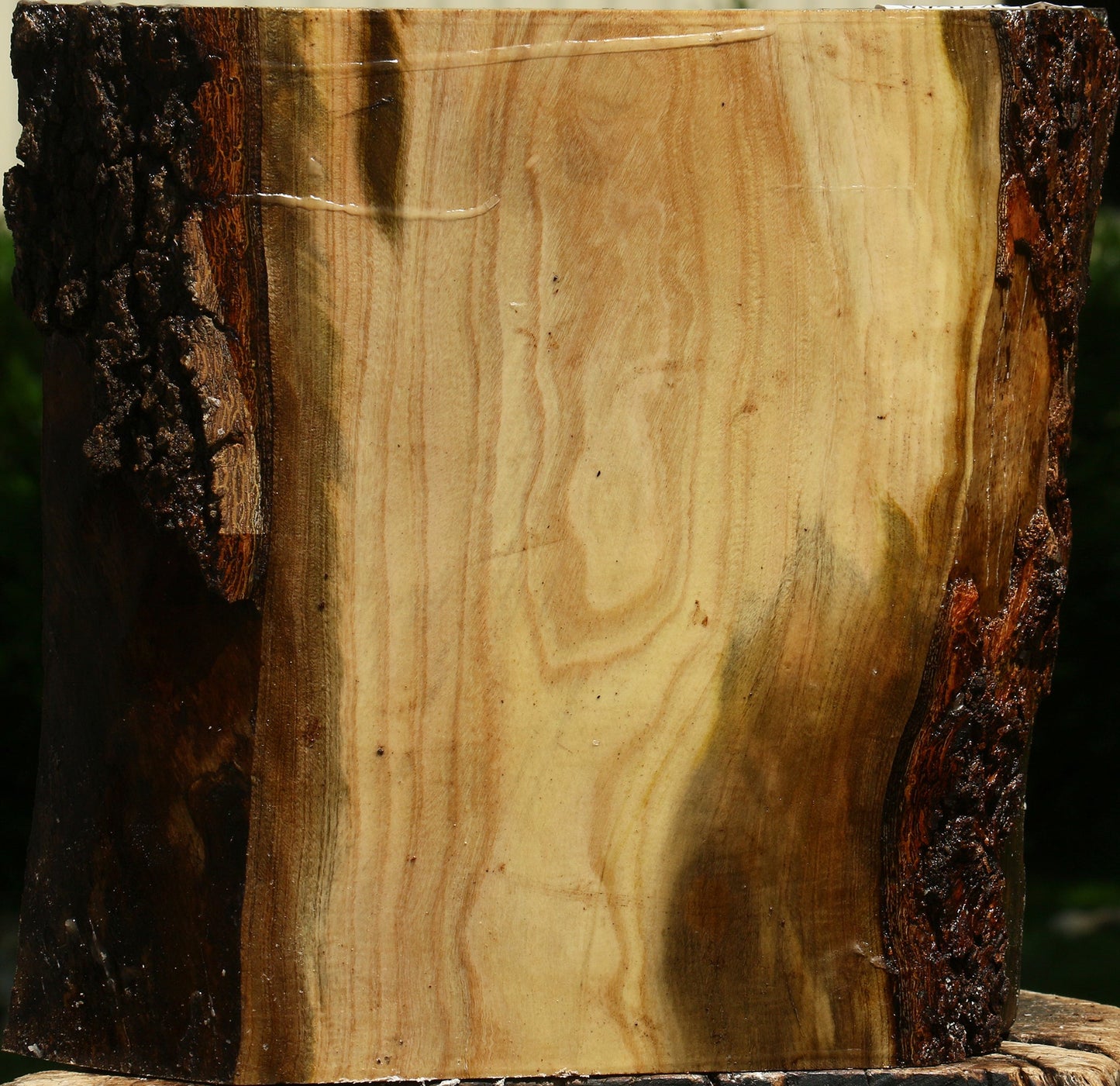 Pistachio Live Edge Bowl Blank