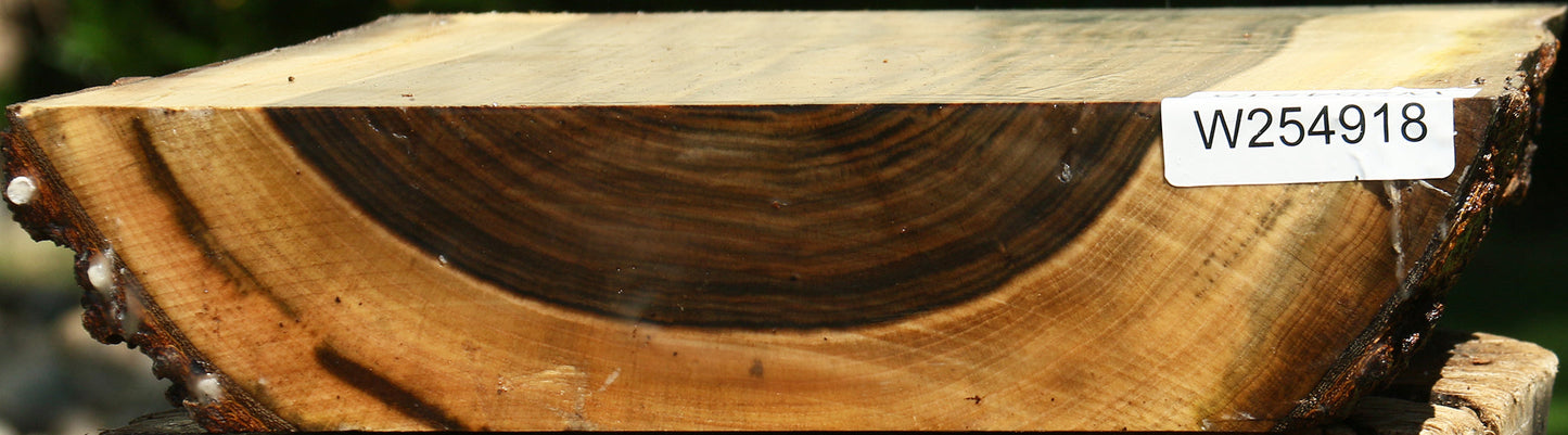 Pistachio Live Edge Bowl Blank