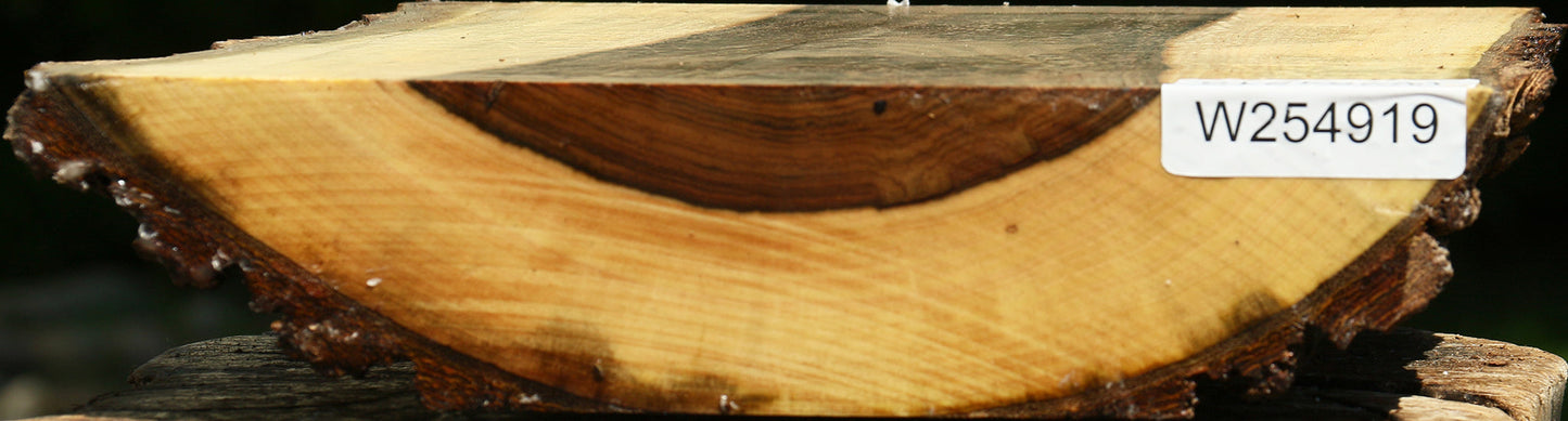 Pistachio Live Edge Bowl Blank