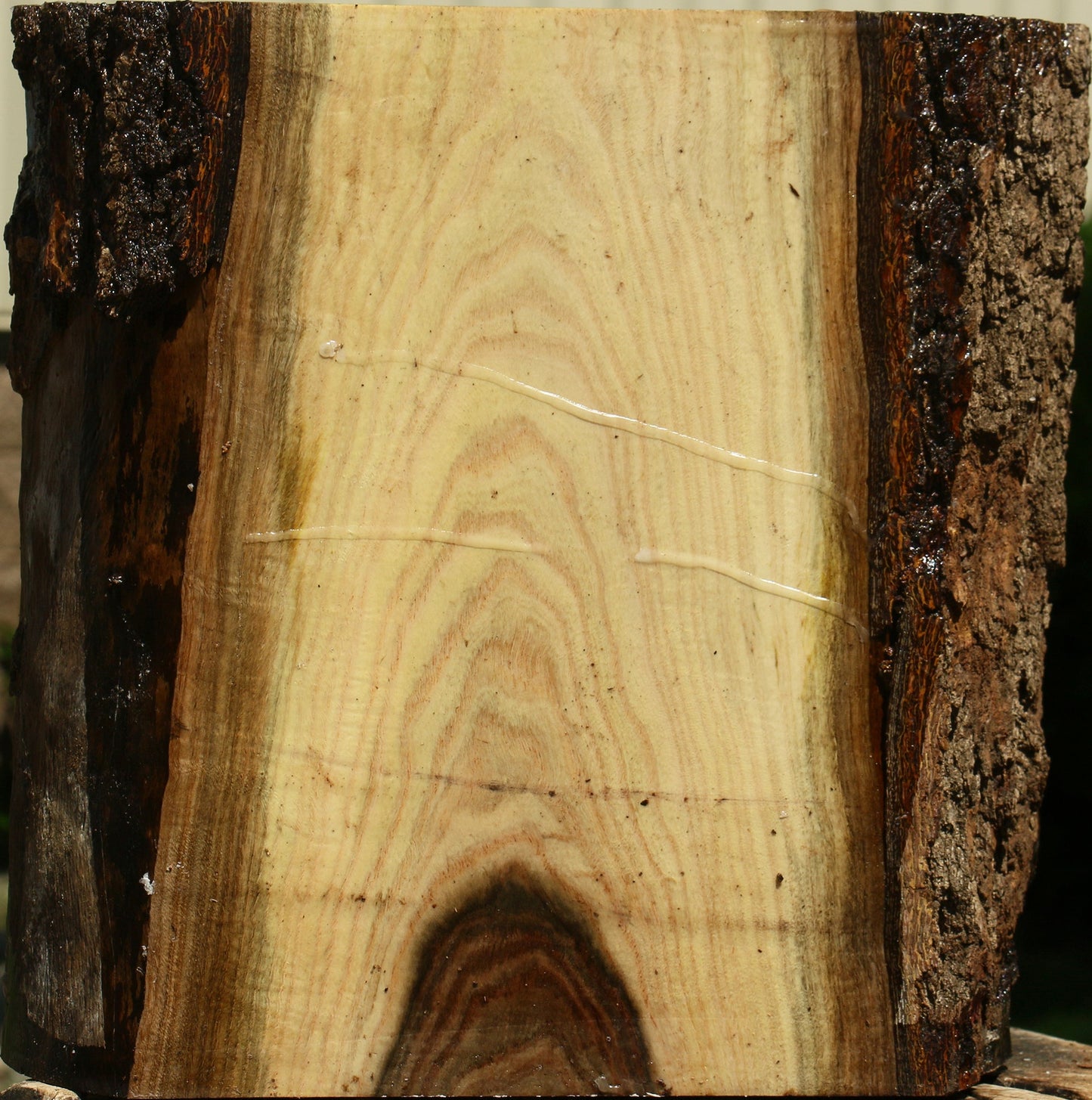 Figured Pistachio Live Edge Bowl Blank
