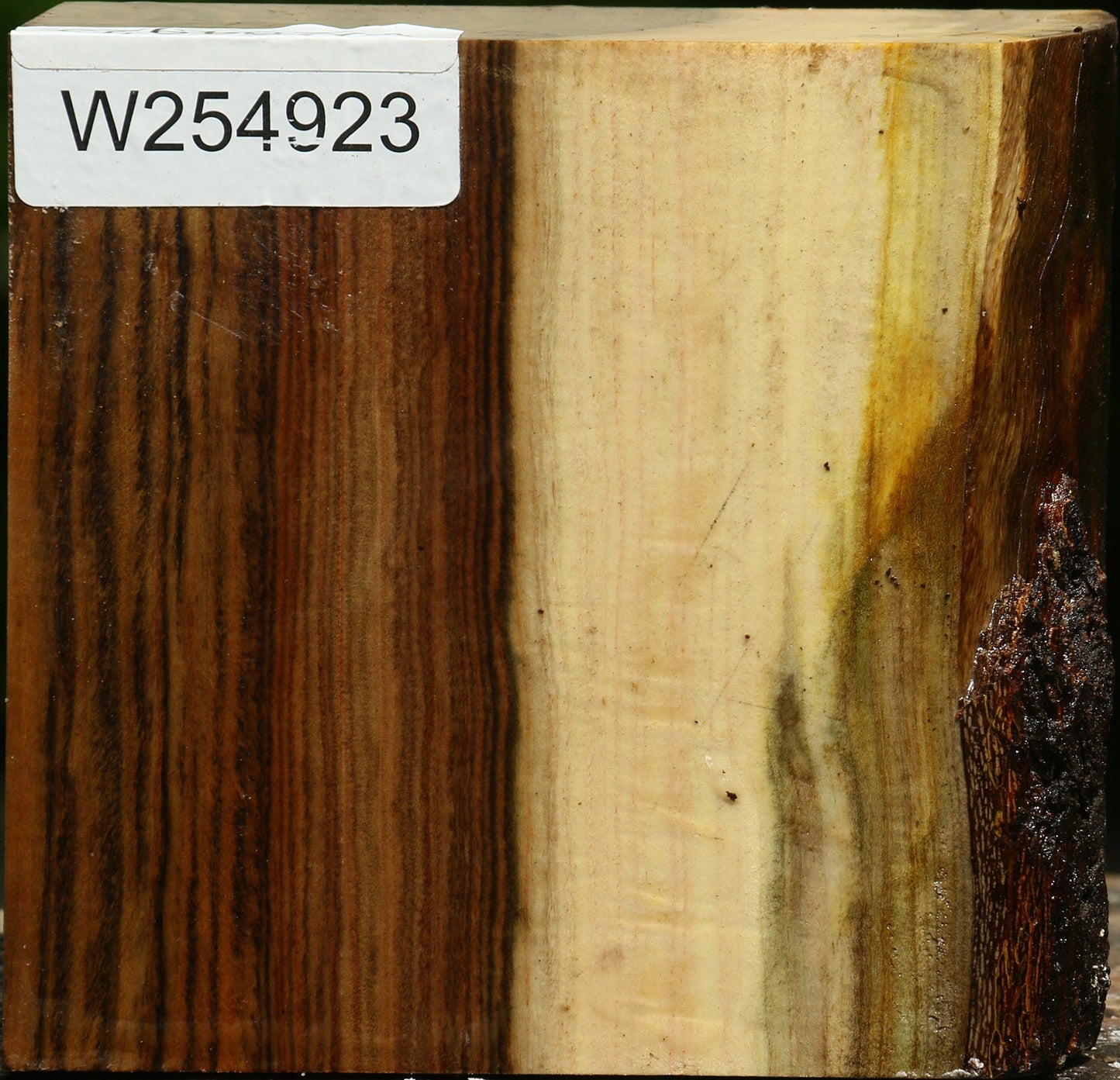 Figured Pistachio Live Edge Bowl Blank