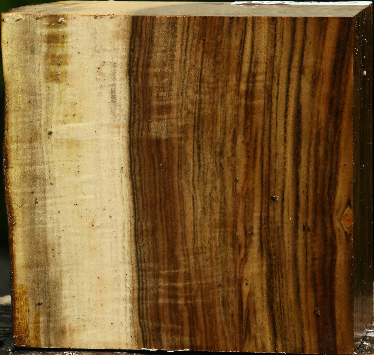 Figured Pistachio Live Edge Bowl Blank