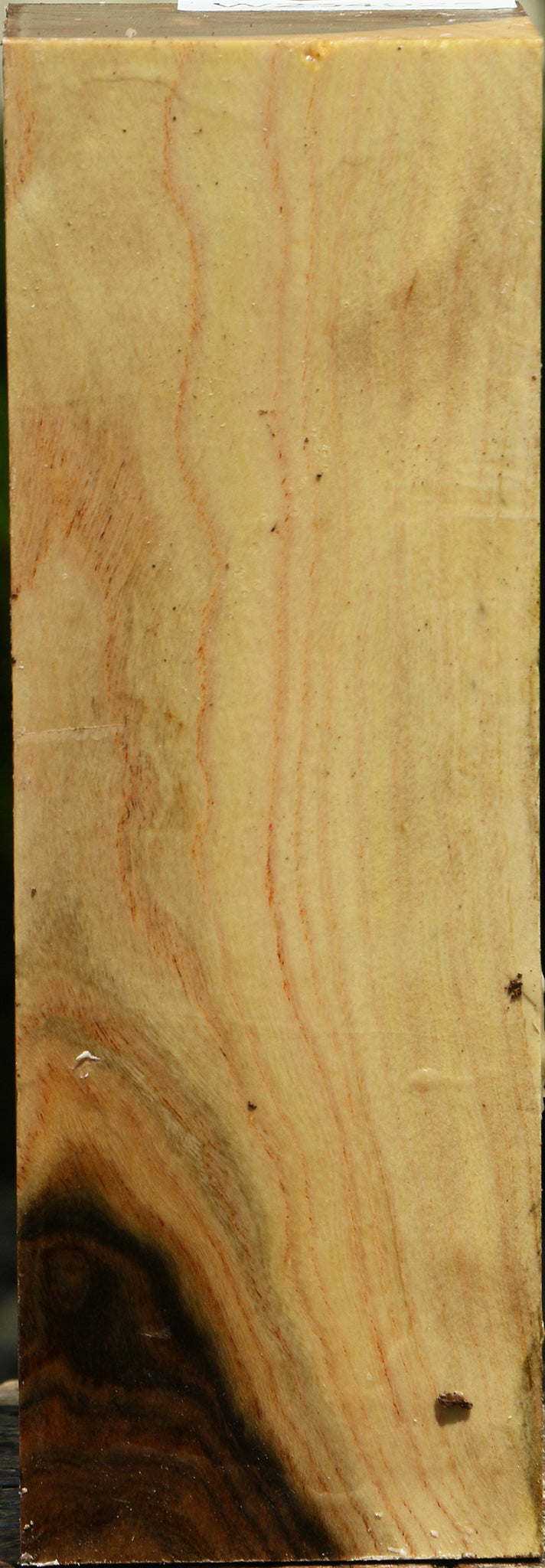 Figured Pistachio Vessel Blank