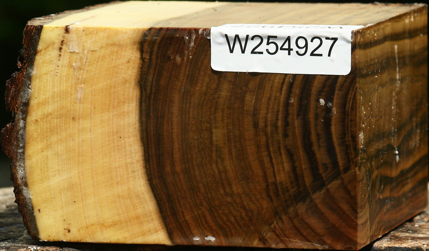 Extra Fancy Pistachio Live Edge Bowl Blank