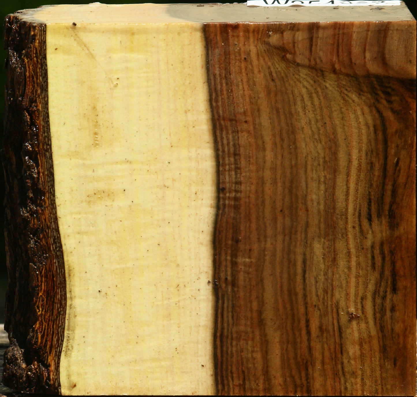 Extra Fancy Pistachio Live Edge Bowl Blank