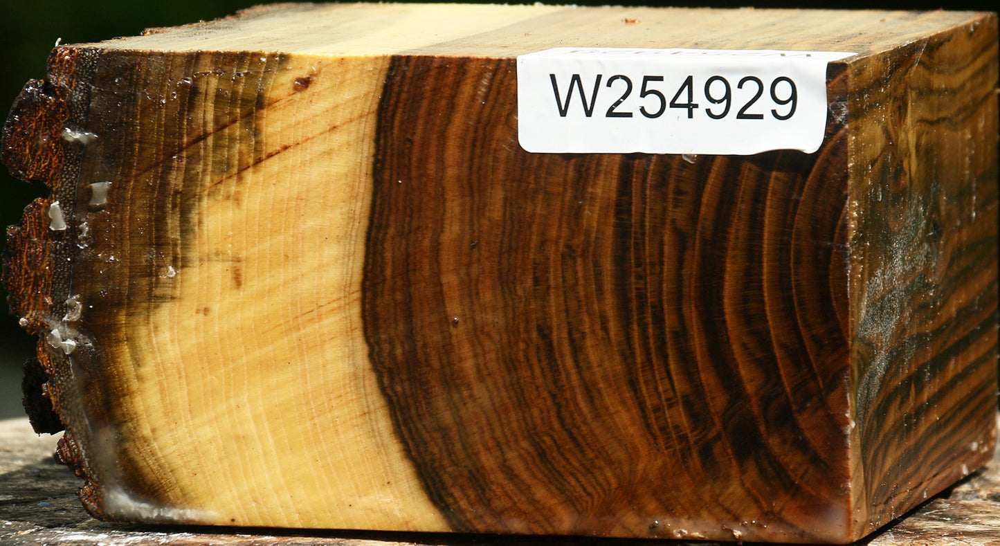 Figured Pistachio Live Edge Turning Blank