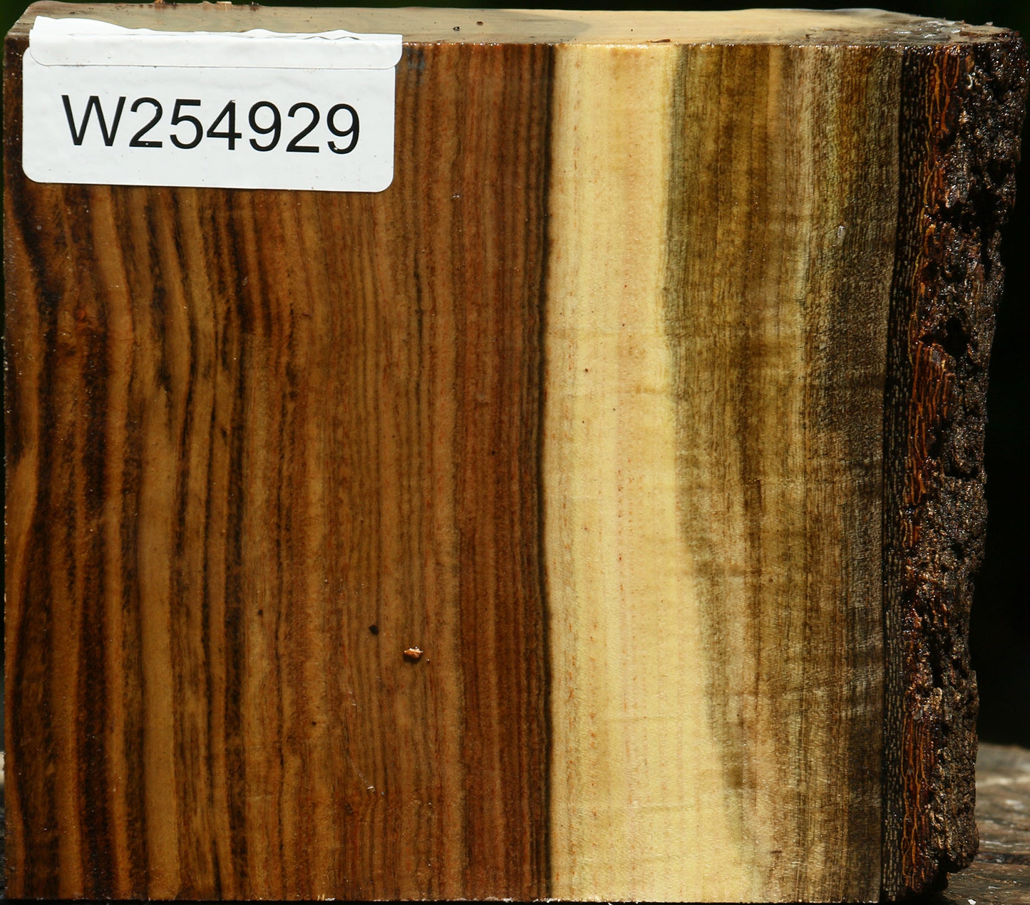 Figured Pistachio Live Edge Turning Blank