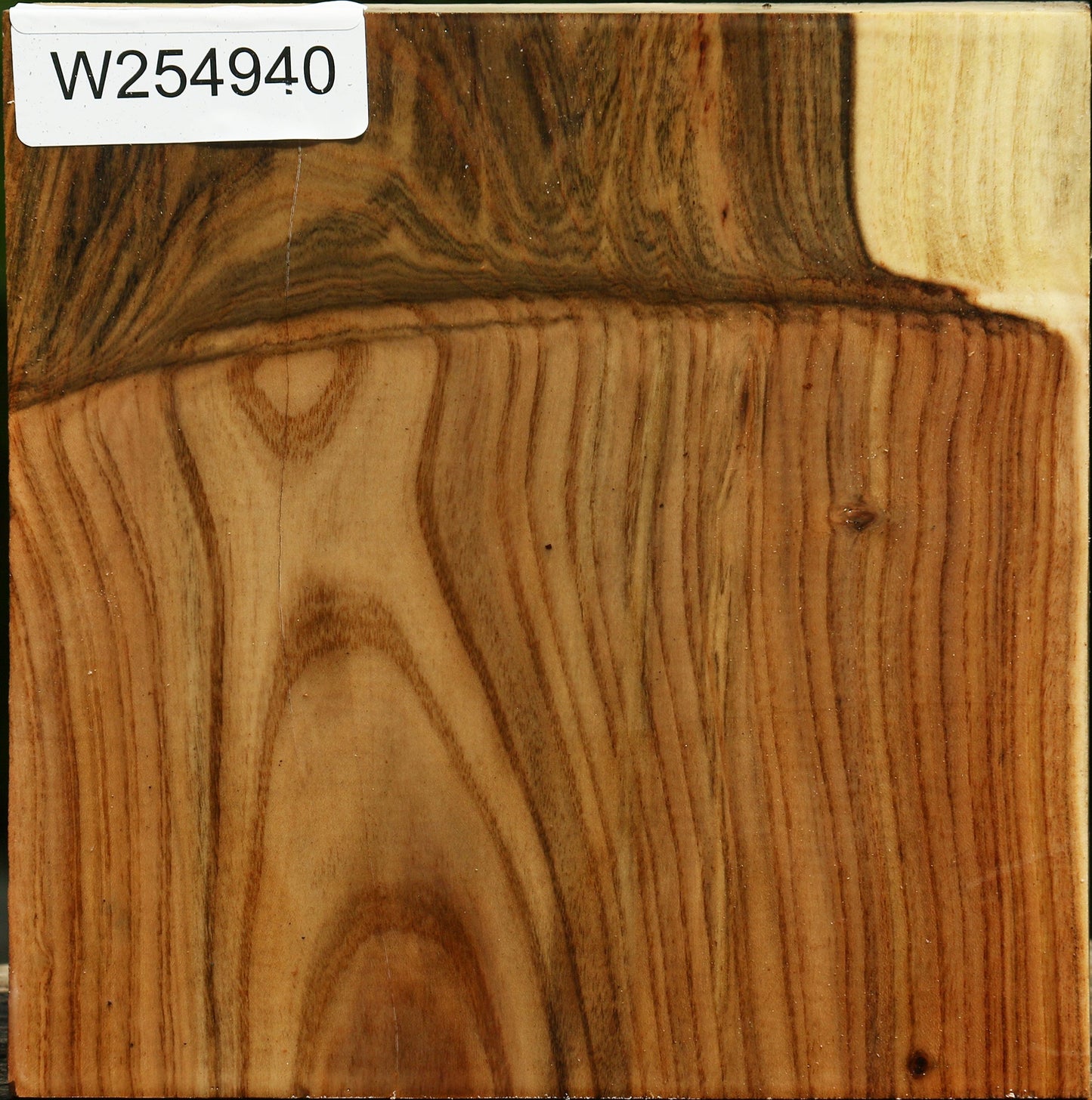 Grafted Pistachio Bowl Blank