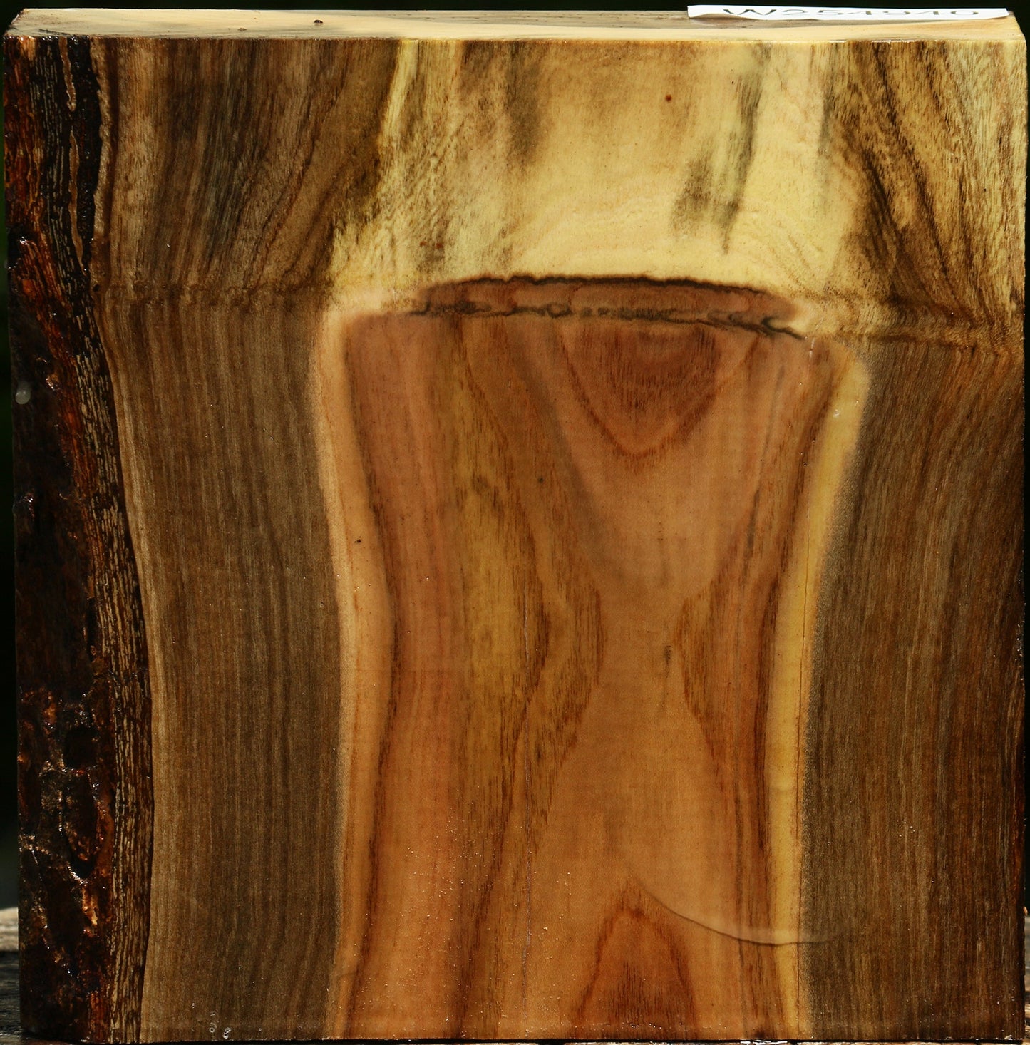 Grafted Pistachio Bowl Blank