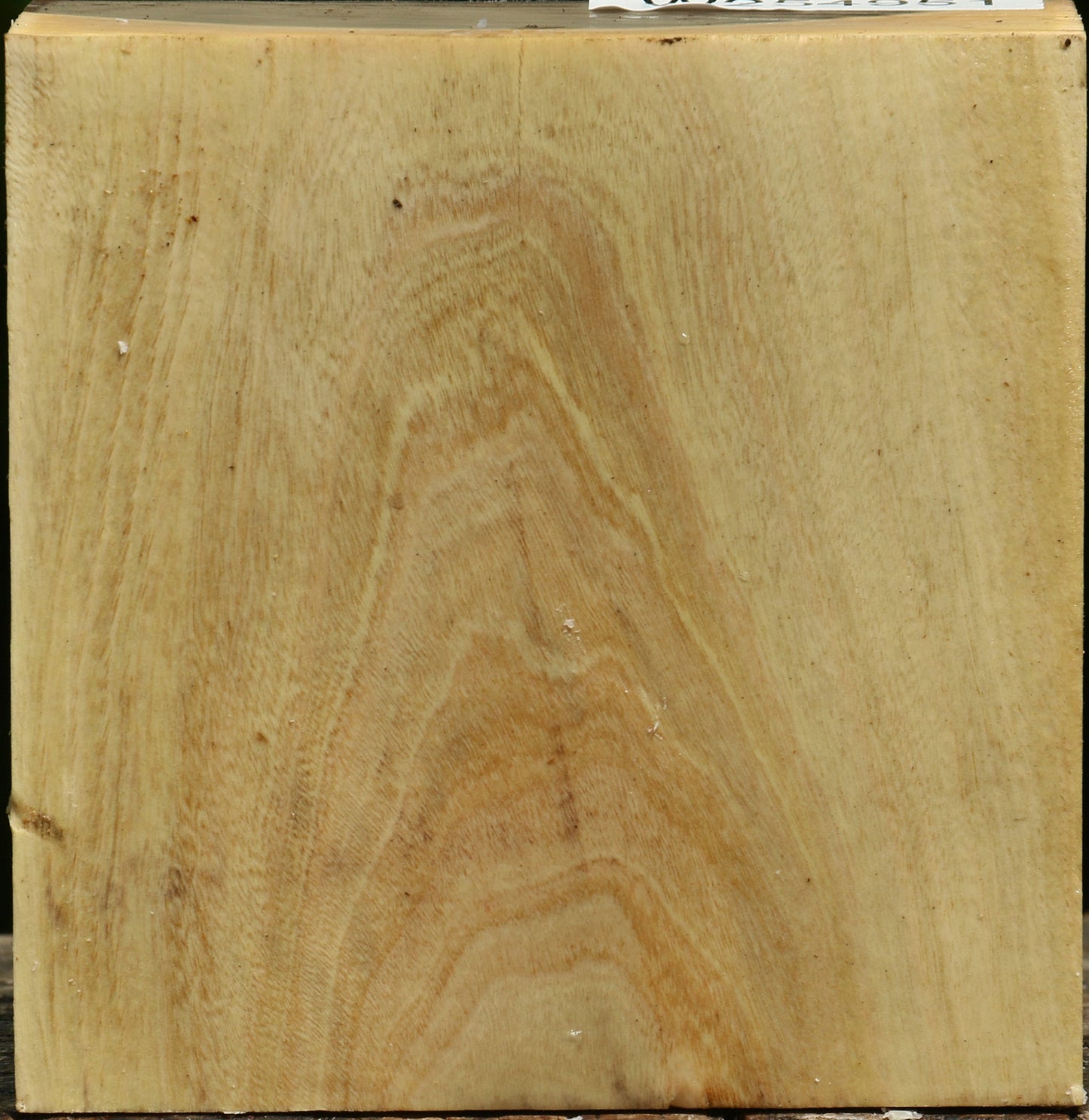 Pistachio Bowl Blank