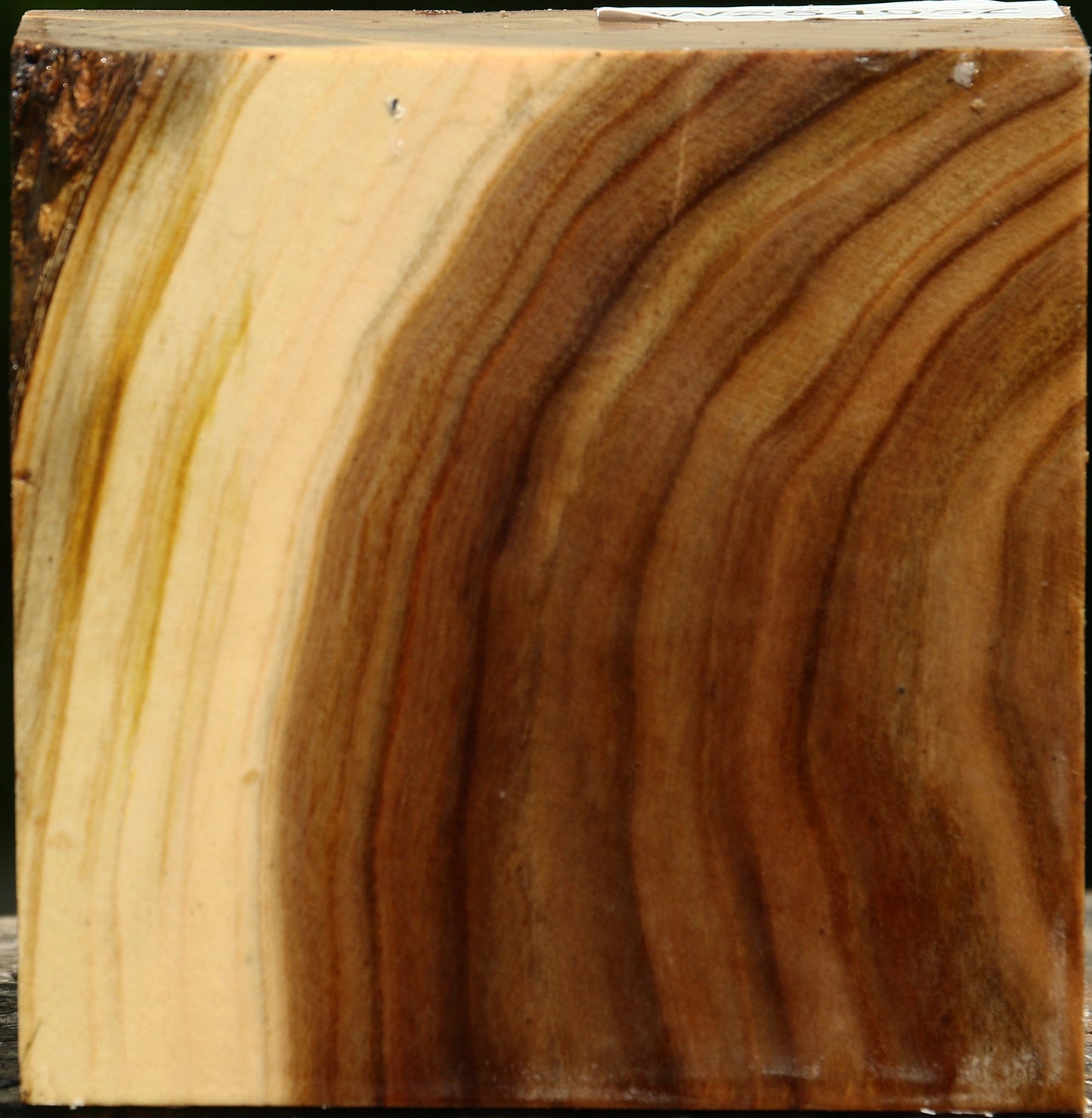 Pistachio Bowl Blank