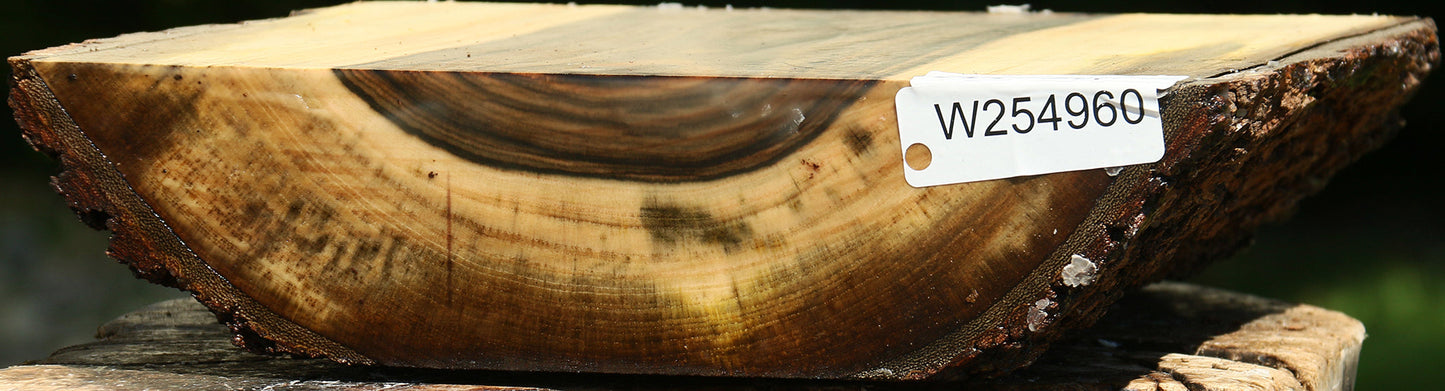 Pistachio Bowl Blank
