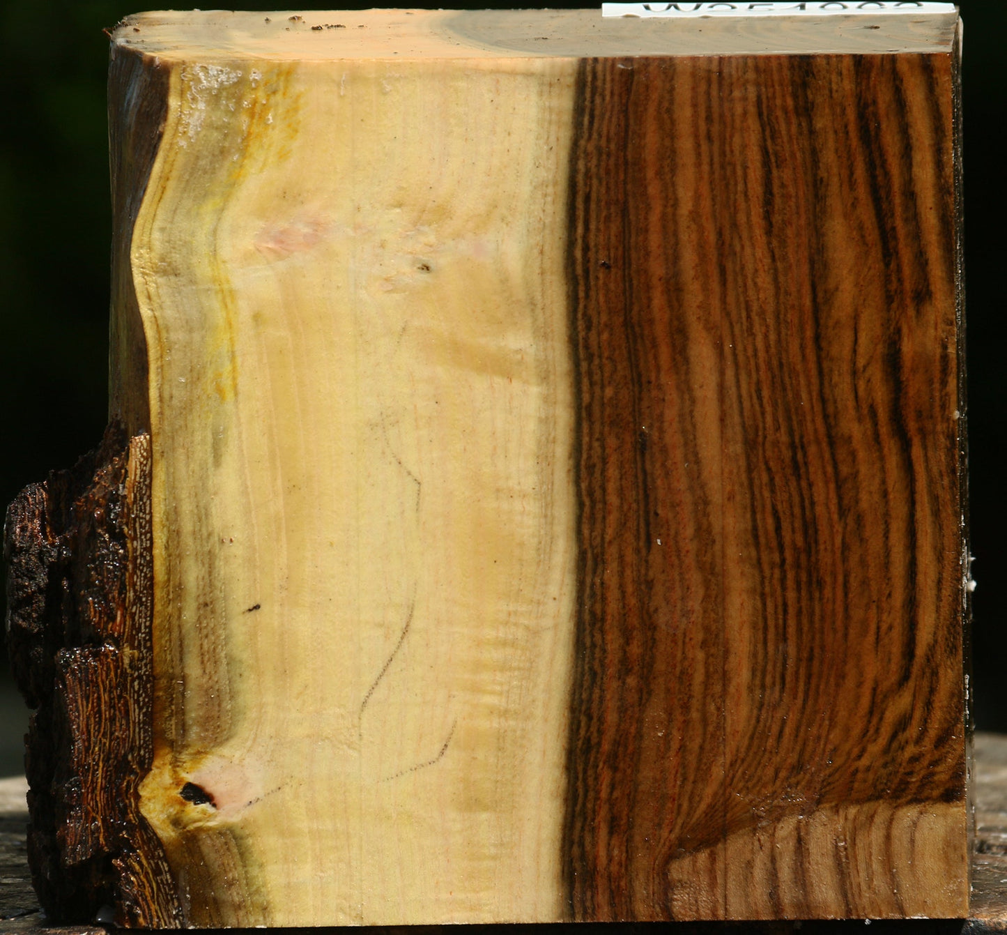 Figured Pistachio Live Edge Bowl Blank