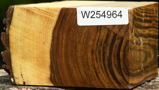 Figured Pistachio Live Edge Bowl Blank