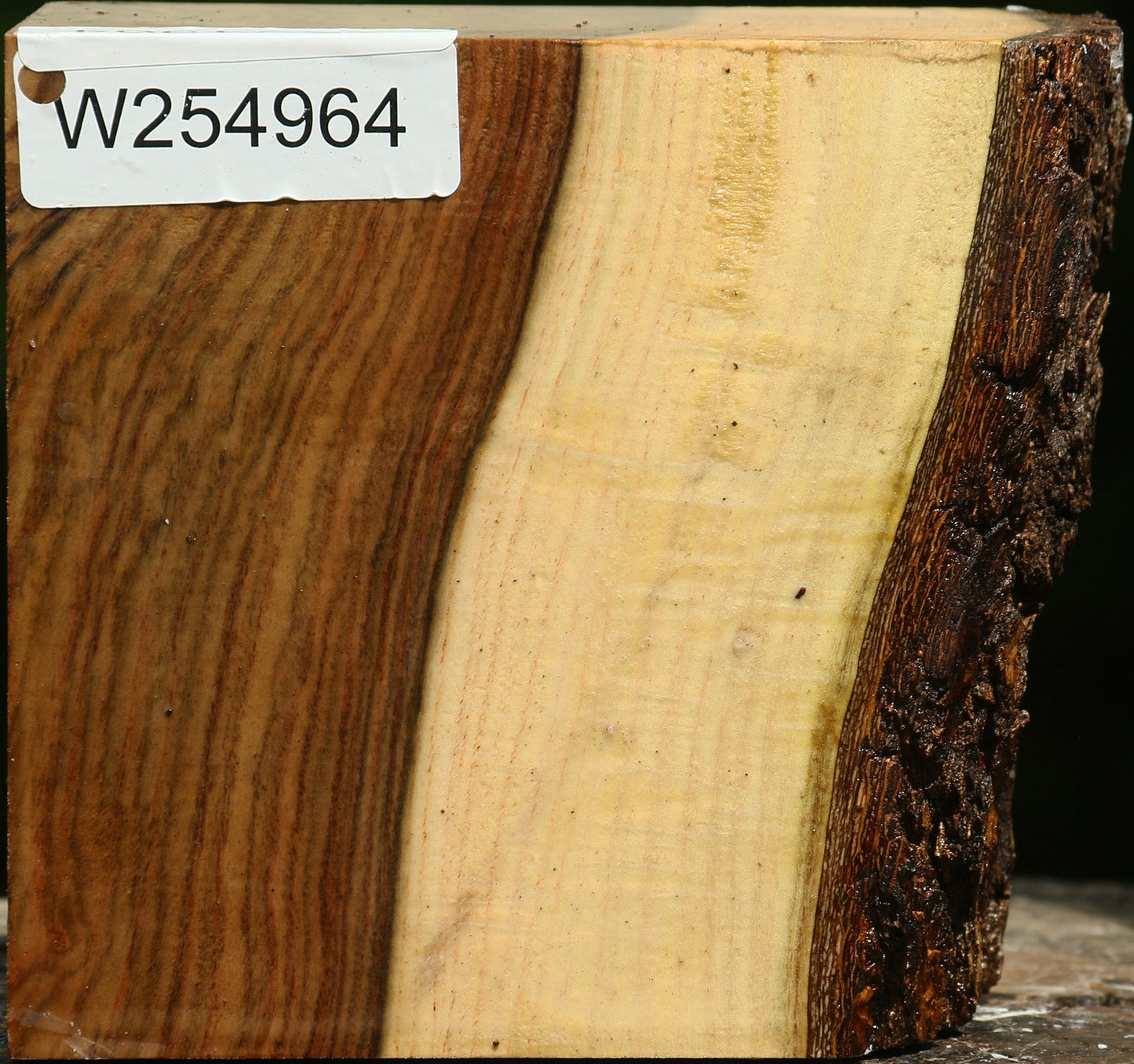 Figured Pistachio Live Edge Bowl Blank