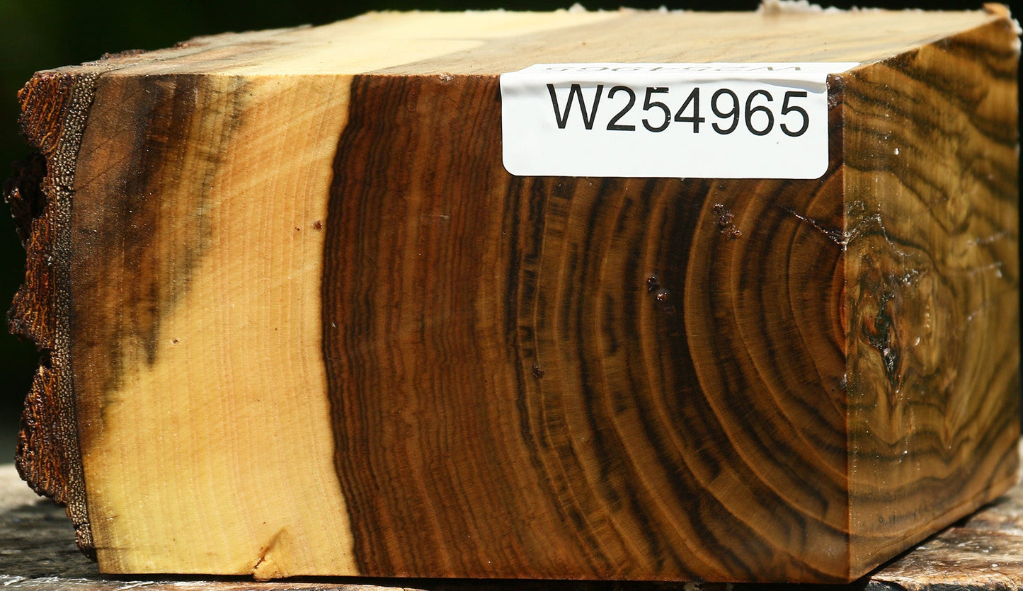 Figured Pistachio Live Edge Bowl Blank