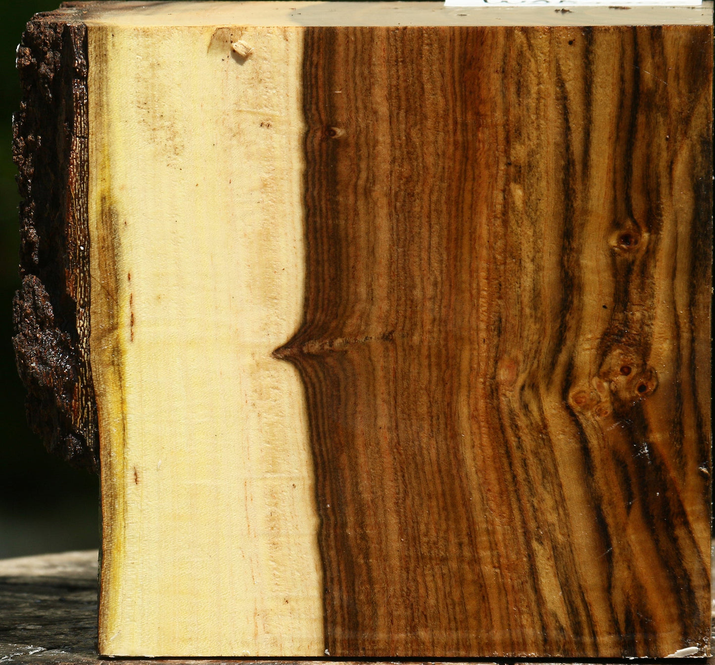 Figured Pistachio Live Edge Bowl Blank