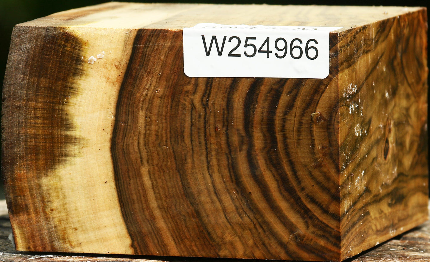 Extra Fancy Pistachio Live Edge Bowl Blank