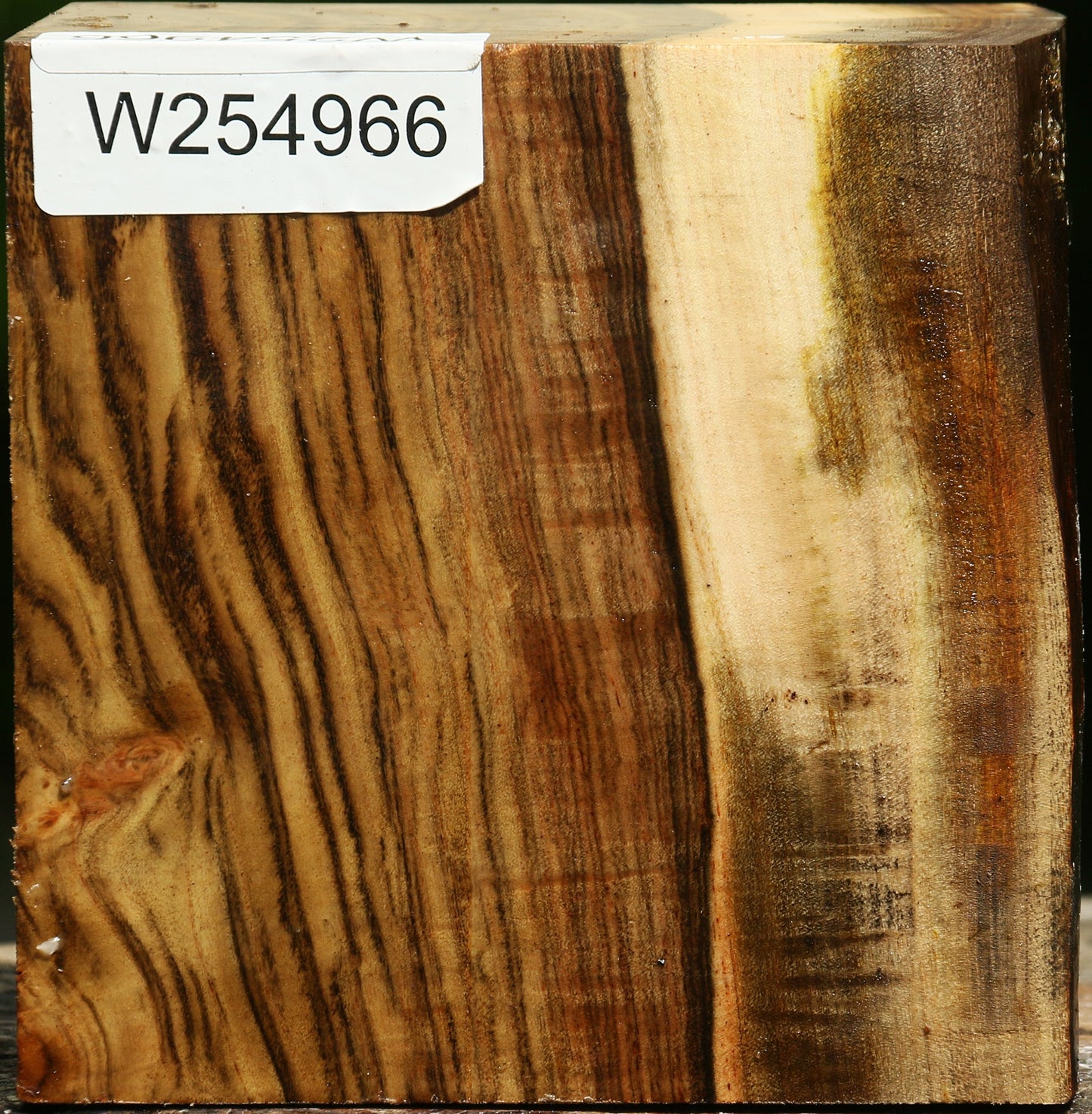 Extra Fancy Pistachio Live Edge Bowl Blank