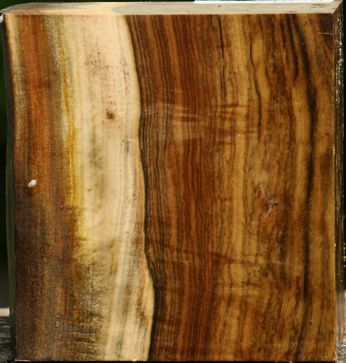 Extra Fancy Pistachio Live Edge Bowl Blank