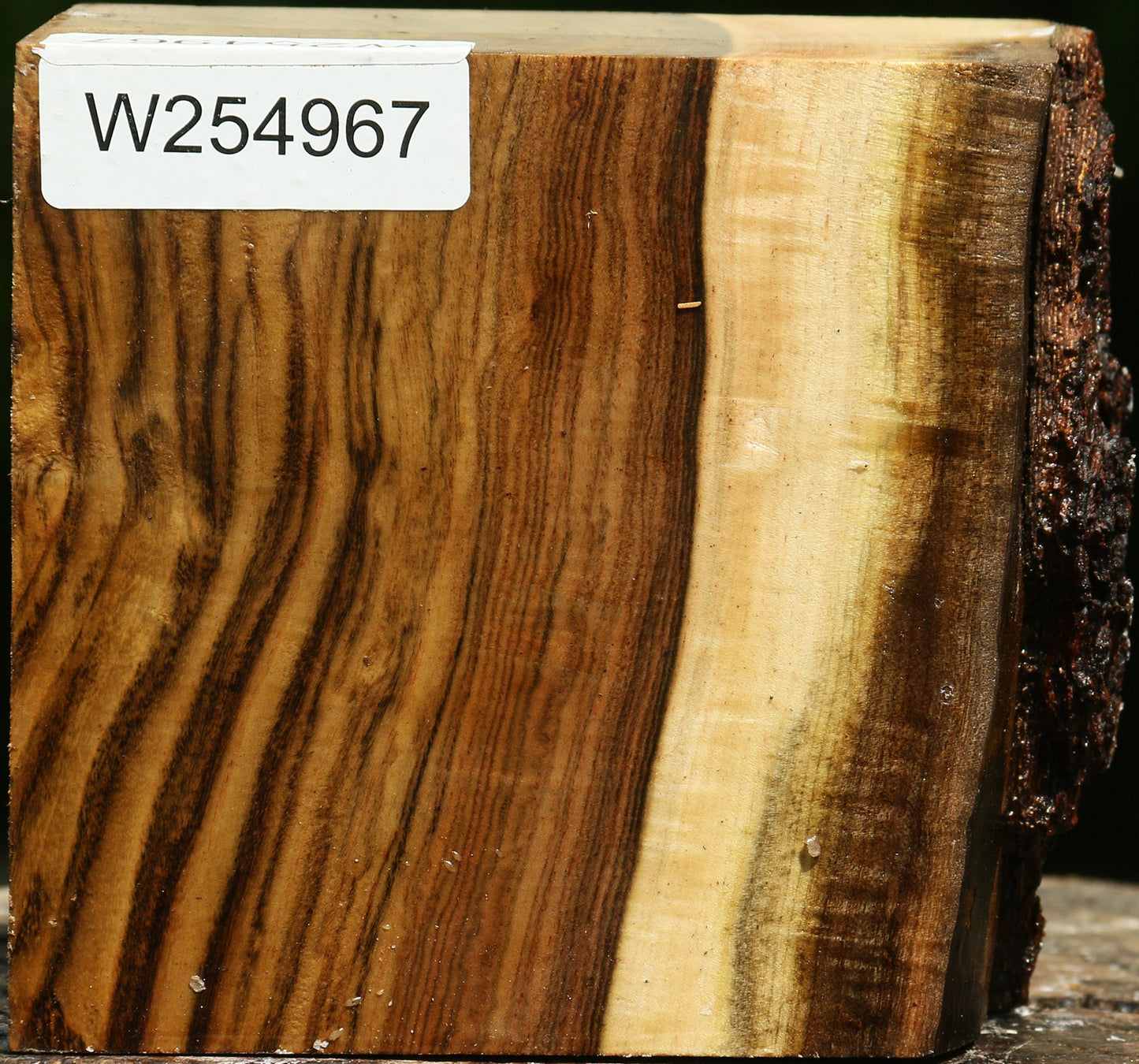 Figured Pistachio Live Edge Bowl Blank