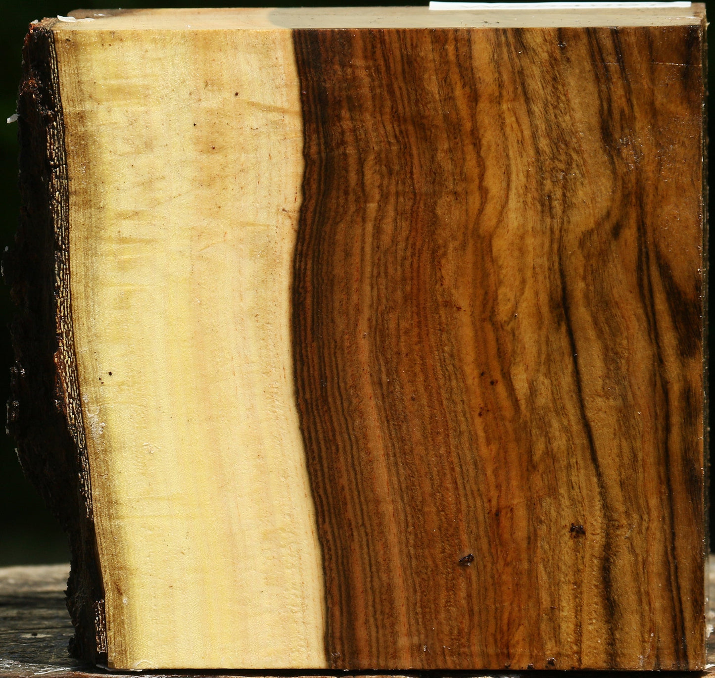 Figured Pistachio Live Edge Bowl Blank