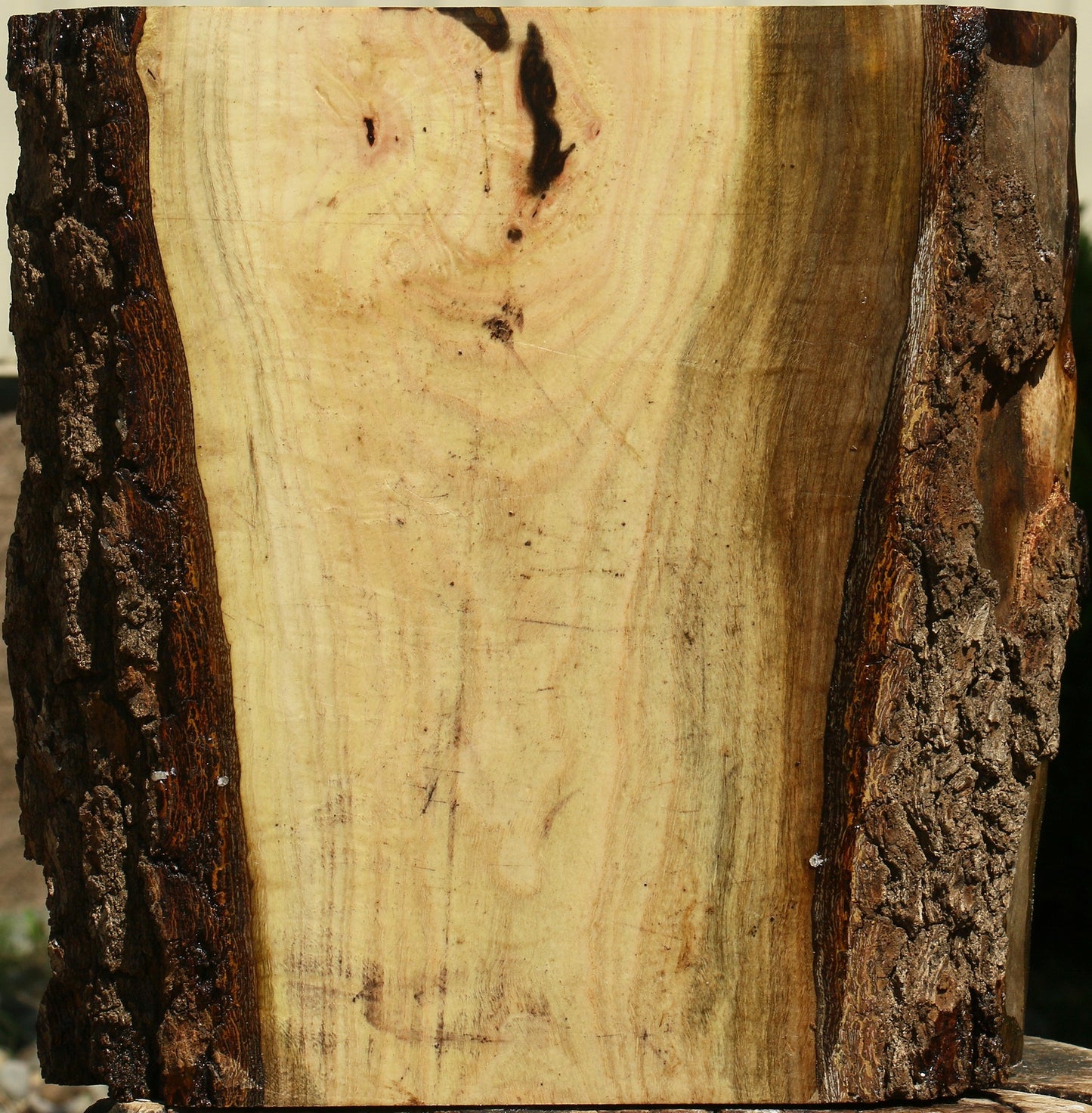 Figured Pistachio Live Edge Bowl Blank