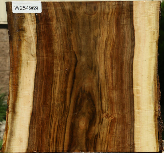 Figured Pistachio Live Edge Bowl Blank