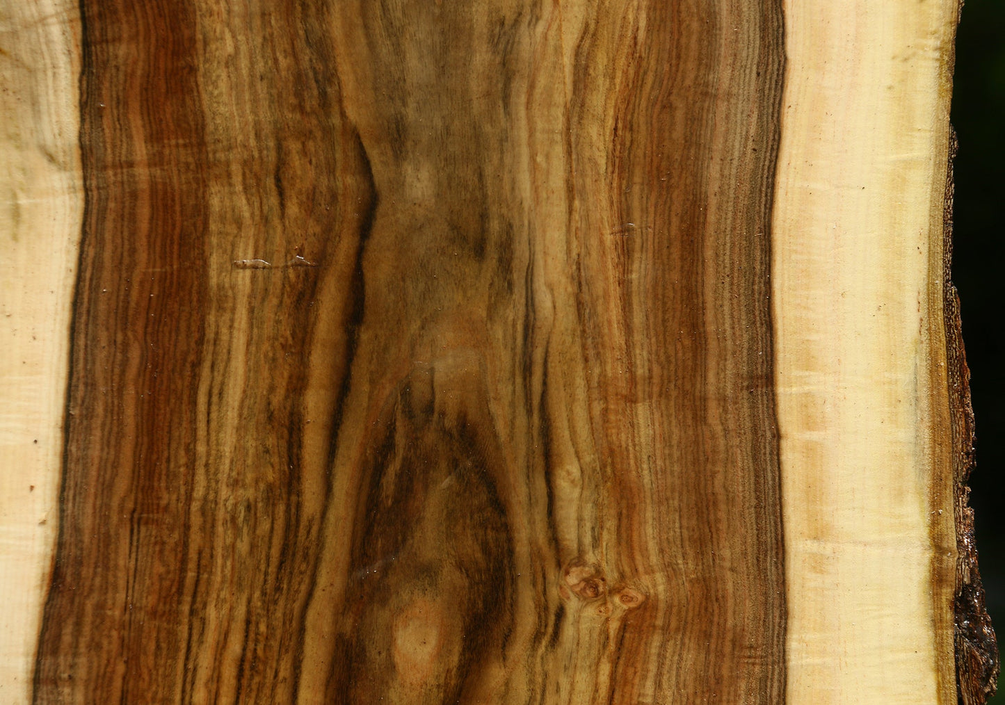 Figured Pistachio Live Edge Bowl Blank