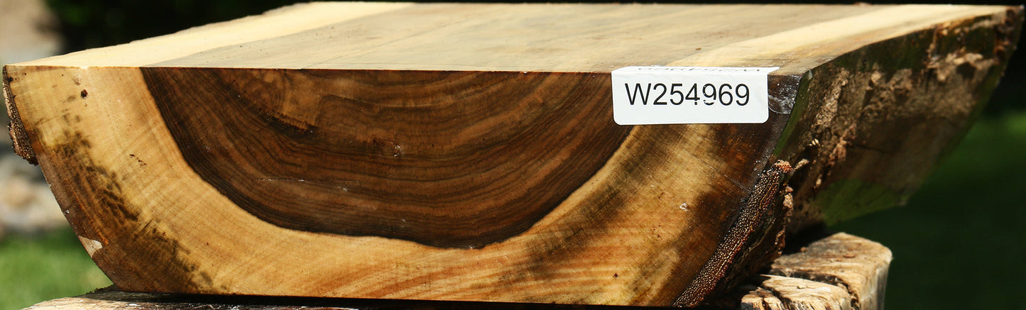 Figured Pistachio Live Edge Bowl Blank