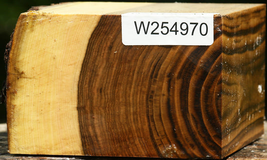 Pistachio Live Edge Bowl Blank