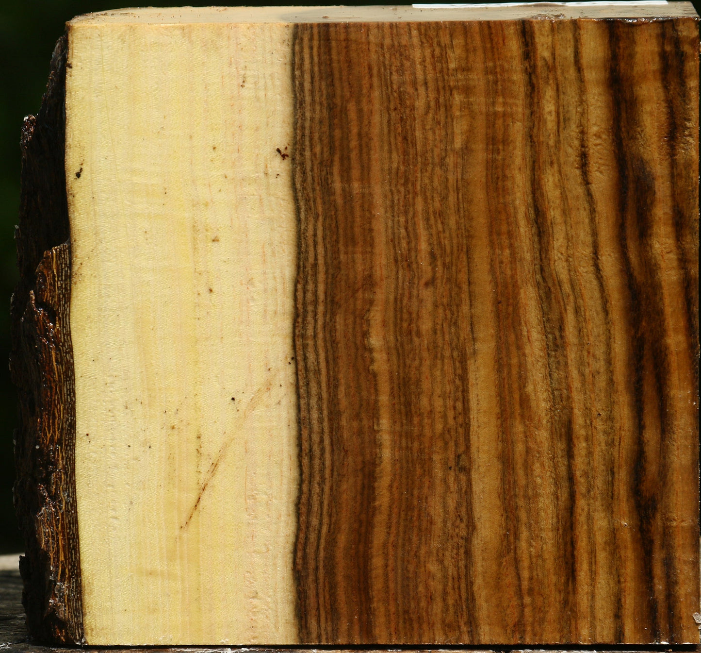 Pistachio Live Edge Bowl Blank