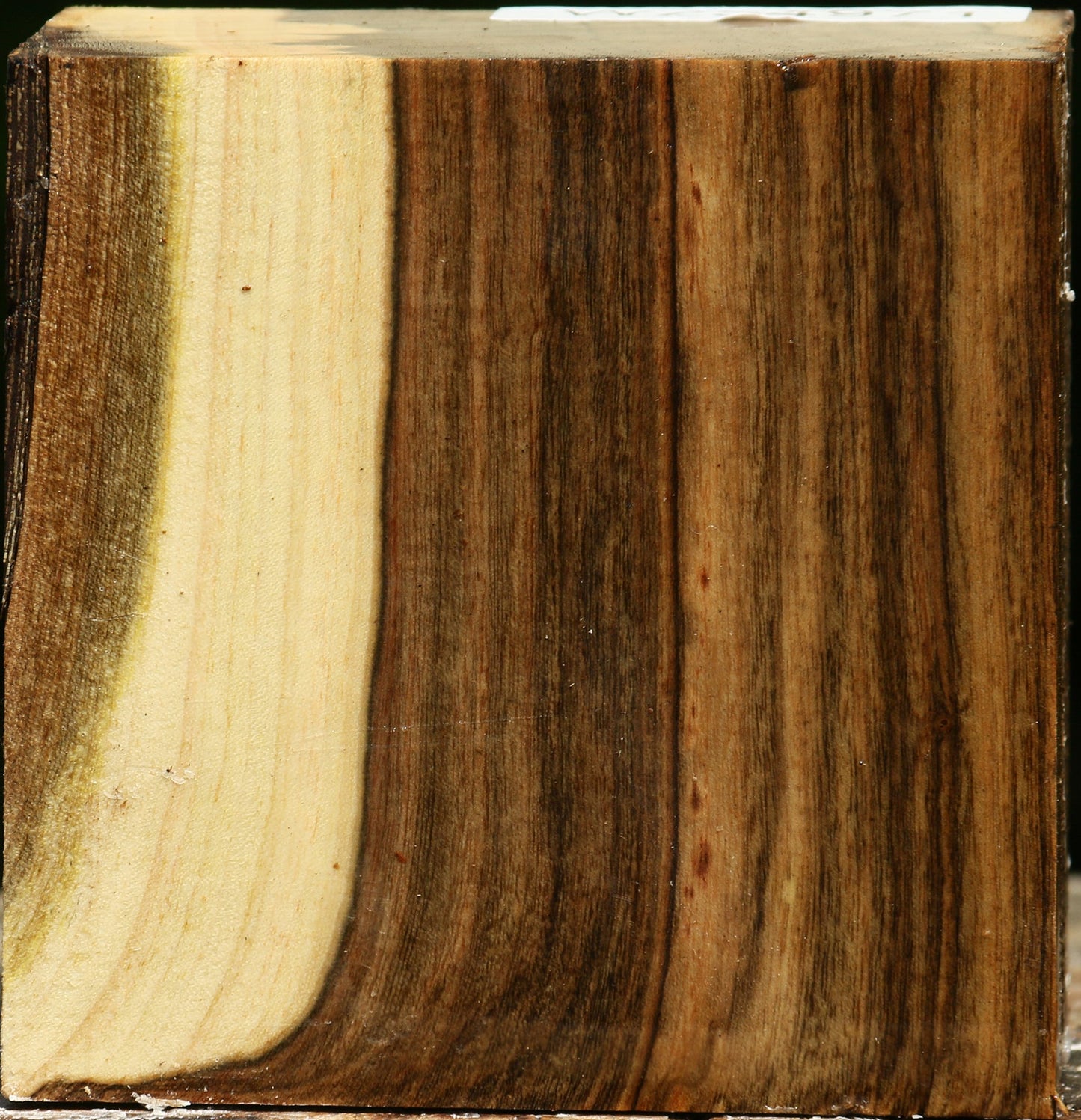 Figured Pistachio Bowl Blank