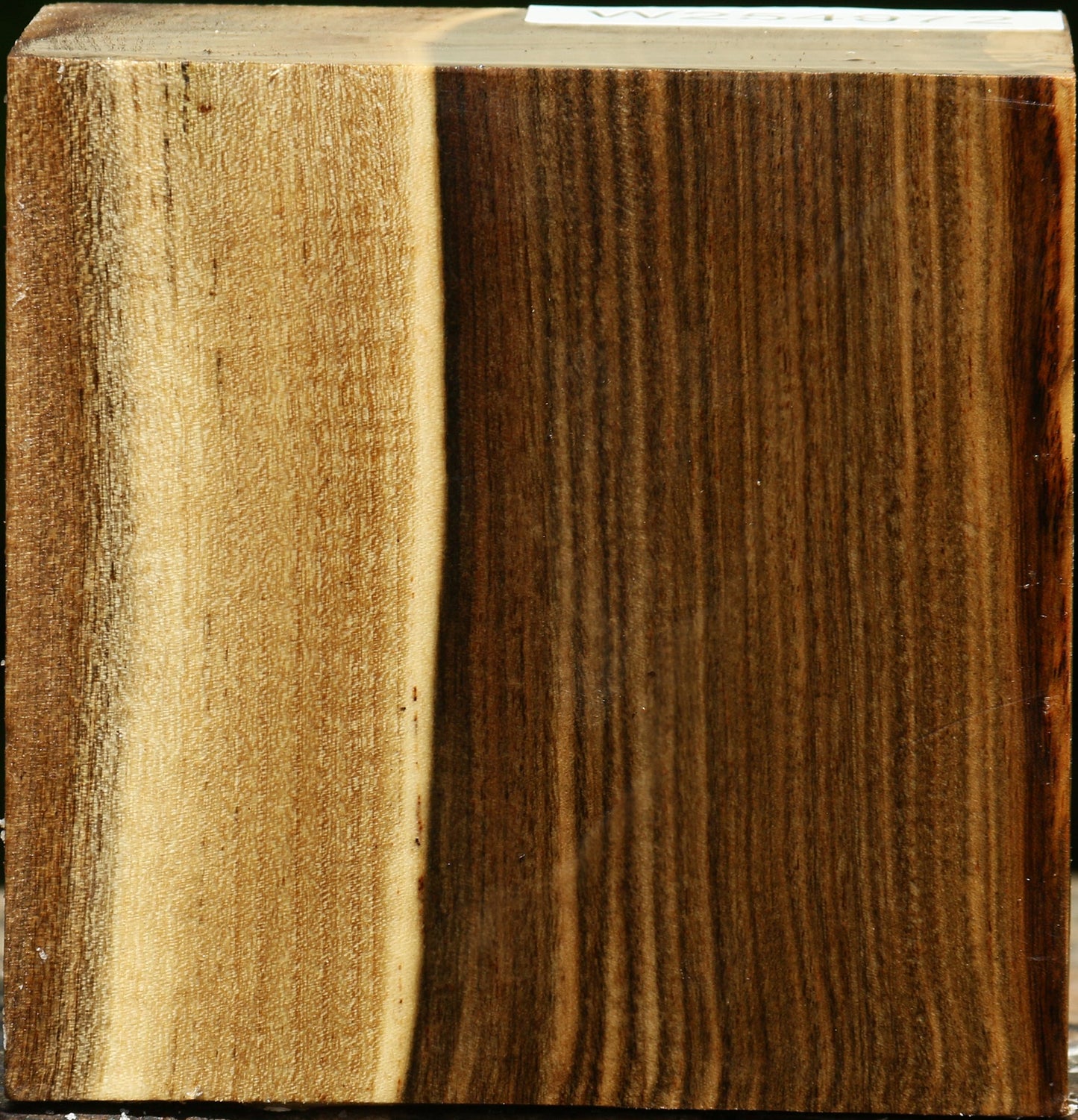 Pistachio Bowl Blank
