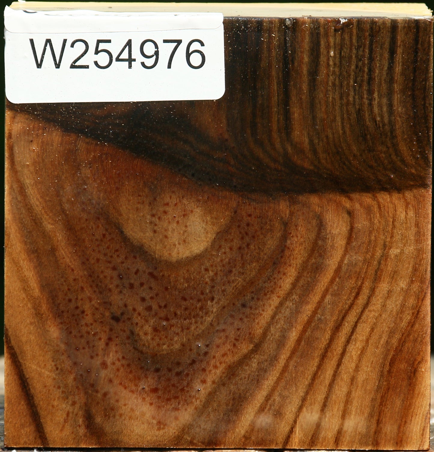 Grafted Pistachio Bowl Blank