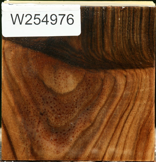 Grafted Pistachio Bowl Blank