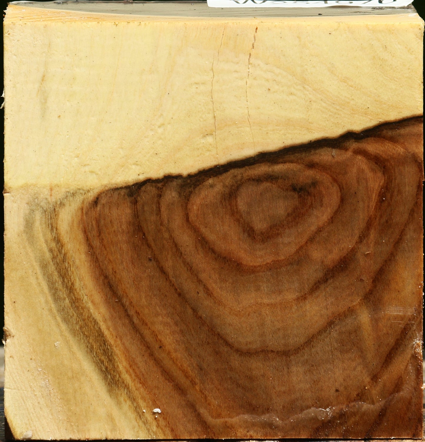 Grafted Pistachio Bowl Blank