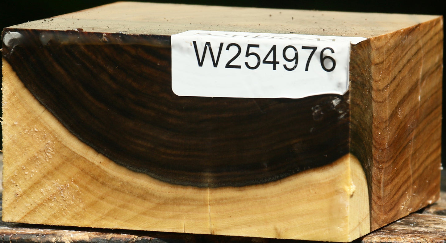 Grafted Pistachio Bowl Blank