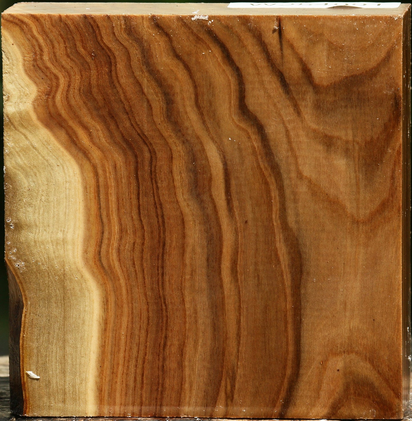 Pistachio Bowl Blank