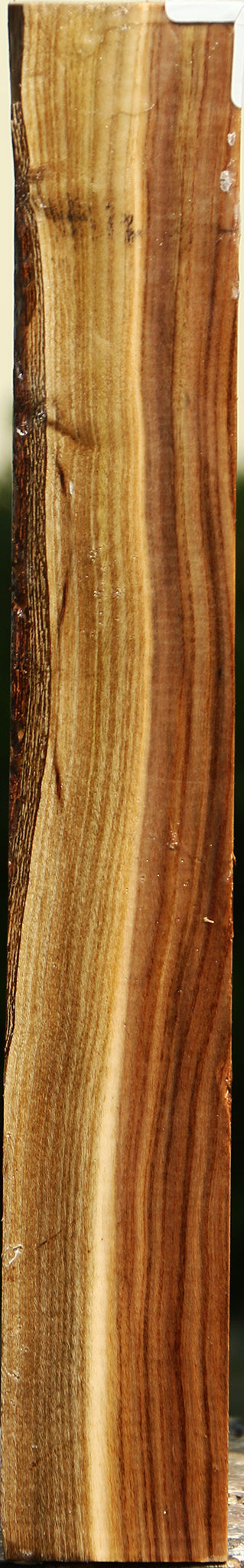 Pistachio Turning Square