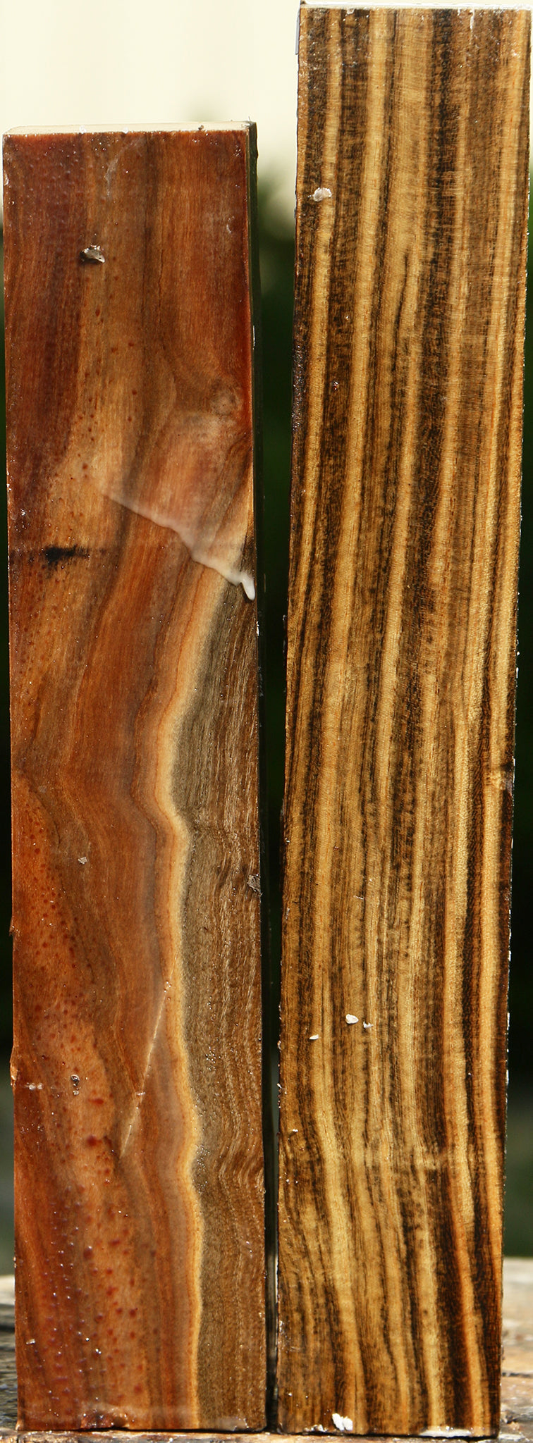 Pistachio Turning Square 2 Pack