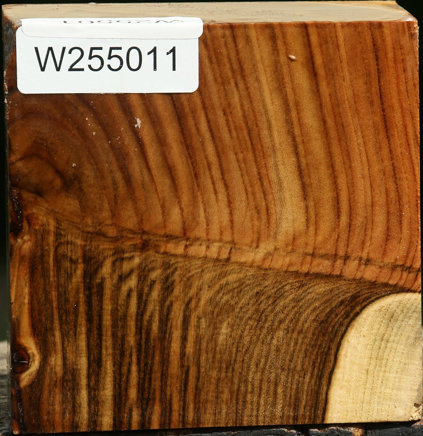Grafted Pistachio Bowl Blank