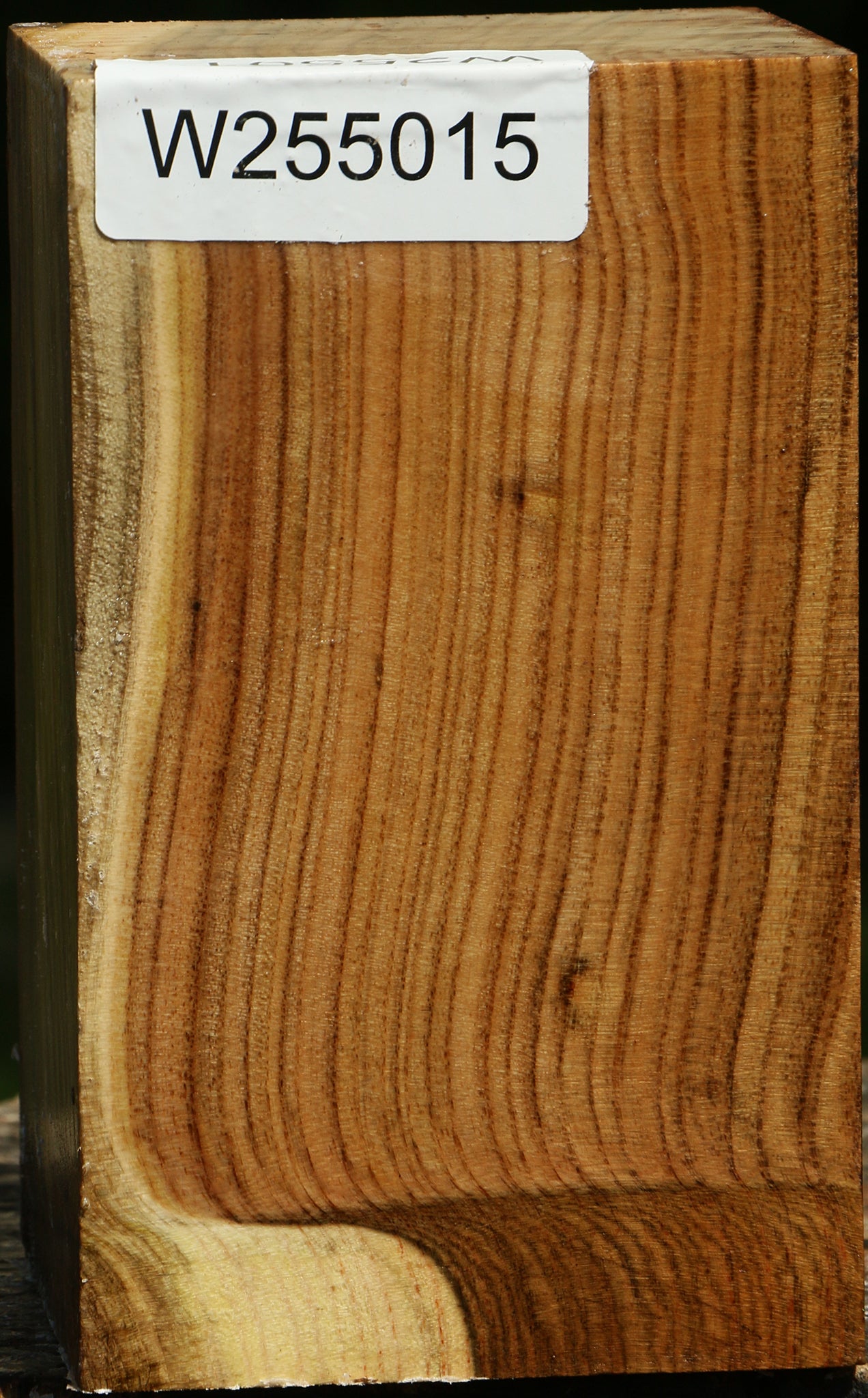 Pistachio Turning Blank