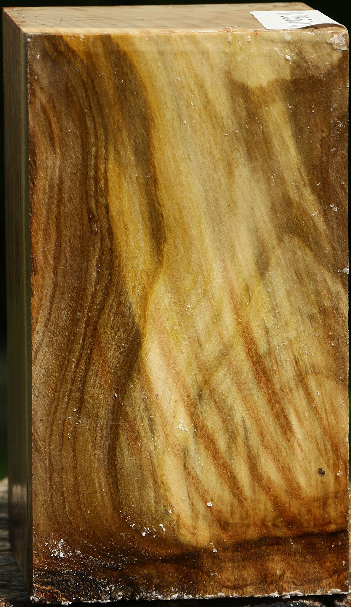 Pistachio Turning Blank