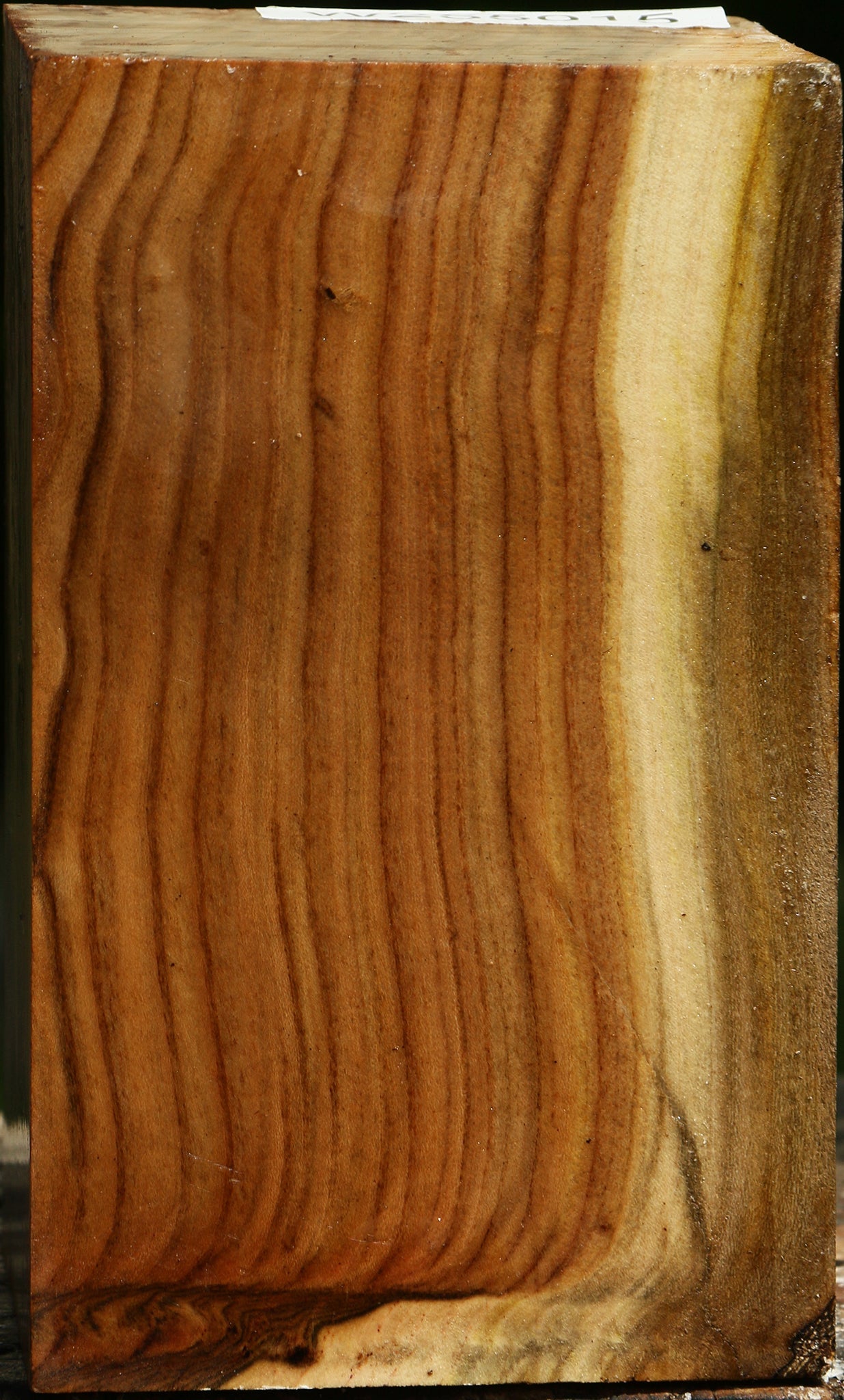Pistachio Turning Blank