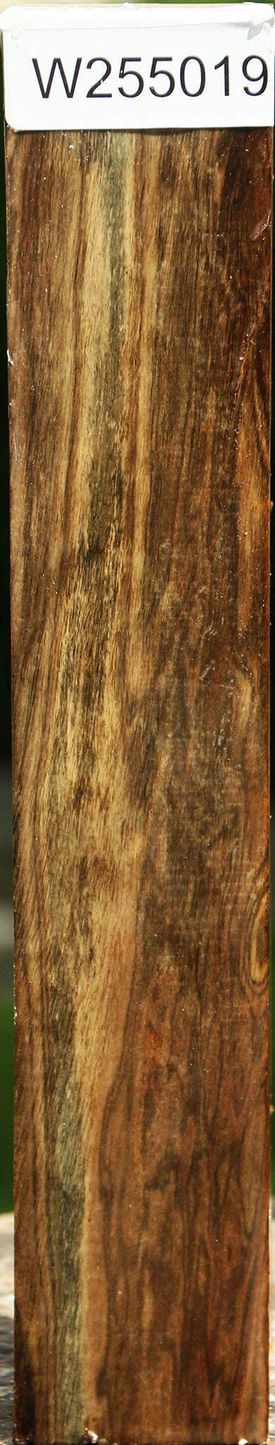 Pistachio Turning Square