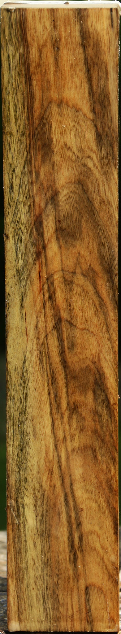Pistachio Turning Square